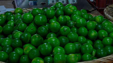 La vitamina es antiinflamatoria y antioxidante (Foto: RED-113)