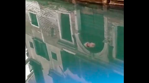 El video se viralizó rápidamente en redes sociales (Foto: Captura de pantalla)