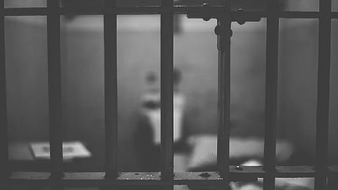 La amnistía se aplicaría también por el delito de robo simple y sin violencia, siempre que no amerite pena privativa de la libertad de más de cinco años (Foto: pixabay.com)