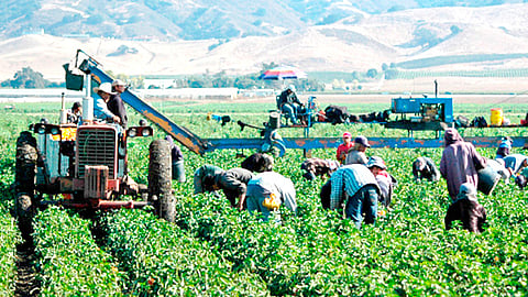 En videoconferencia, más de mil participantes coinciden en pedir que no haya restricciones en la movilidad de productos del campo (Foto Cortesía) 
