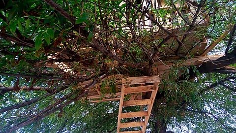 Fue hecha de madera (Foto: Fátima Miranda)
