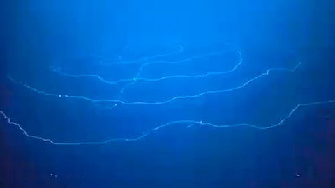 En Twitter Schmidt Ocean publicó el video (Fotograma: Schmidt Ocean)