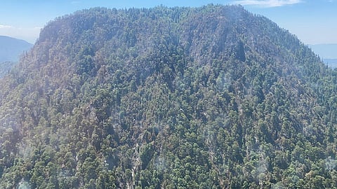 Controlado al 100 por ciento incendio en el cerro "El Cacique", se encuentra en fase de liquidación (Foto: Cortesía)