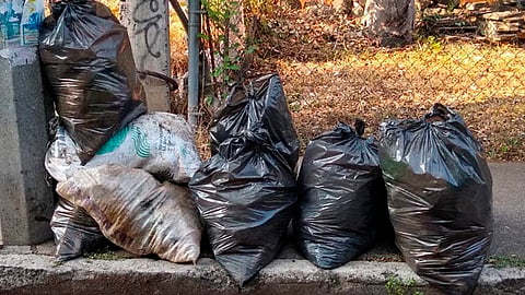 En Michoacán se generan cada día en promedio cuatro mil 600 toneladas de basura (Foto: RED-113)