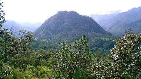 Esta Zona, es la segunda más grande en superficie dentro del Sistema de Áreas para la Conservación del Estado de Michoacán (Foto Cortesía)