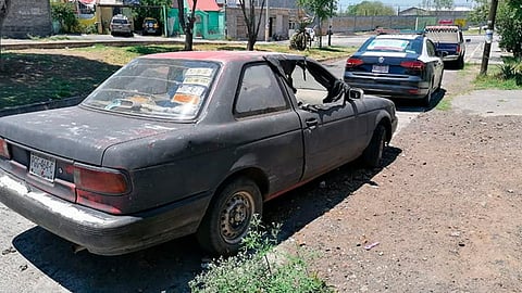 Seguro has visto más 
de uno cuando caminas por las calles de Morelia (Foto: Cortesía)
