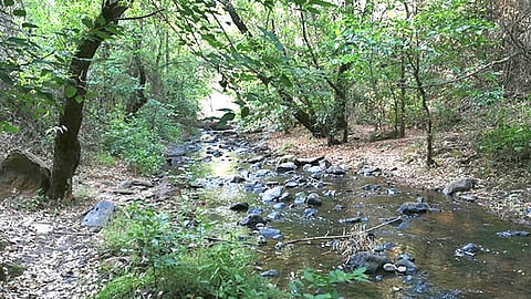 El lugar cuenta con senderos y veredas para recorrer el área, así como señalética en algunos puntos (Foto Cortesía) 