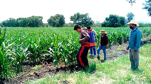 La técnico especialista Catalina Mejía, destacó que en este municipio el alcalde ha sido un gran promotor del programa, porque conoce y sabe de los resultados (Foto Cortesía)