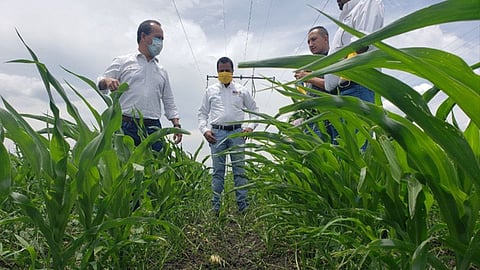 El programa busca cuidar los recursos naturales (Foto: Cortesía)
