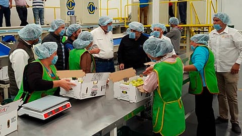 La agroindustria es de los principales sectores que se benefician con este nuevo acuerdo, dice especialista (Foto: SADER Michoacán)