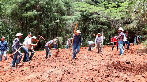 Guzmán Macario recordó que durante el 2019 los habitantes de la Meseta Purépecha plantaron 600 mil pinos sin la intervención directa de partidos políticos o de los funcionarios (Foto: Cofom)