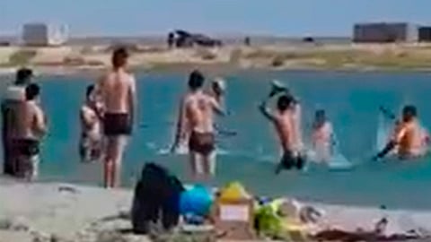 Gente del lugar afirma que los mamíferos suelen acercarse a la playa y los turistas los agreden para tomarse fotos (Foto Twitter: @Alexandr_Tsoy)