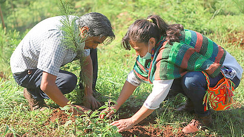 Se plantaron mil pinos que permitirán incrementar la cubierta forestal en 1 de las 3 hectáreas que comprende el Colegio de Bachilleres de Caltzontzin (Foto Cortesía) 