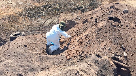3 mil 980 desapariciones en Michoacán del 2006 al 2019 (Foto: www.gob.mx)