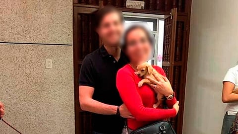 La pareja decía que tenía un criadero de perros con la finalidad de conseguir más cachorritos (Foto: FB/ The Pandu)
