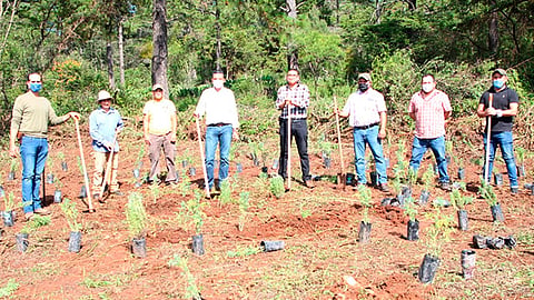 El trabajo de la Semaccdet sobre los polinizadores ha impulsado la instalación de jardines para polinizadores en distintas dependencias, instituciones y municipios (Foto Cortesía) 