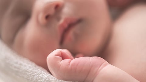 El 99.4% de los registrados fue presentado vivo y 0.6% había fallecido al momento de su registro (Foto: Unsplash/@huchenme)