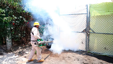 Jalisco, Nayarit y San Luis Potosí tienen la más alta incidencia (Foto: salud.michoacan.gob.mx)