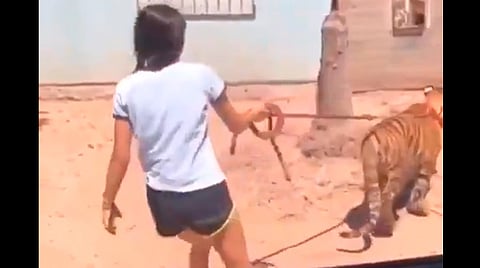 La adolescente sólo lo lleva amarrado con una correa (Foto: captura de video)
