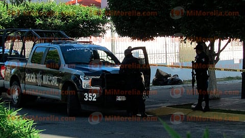 Los restos estaban dentro de bolsas plásticas (Foto: Red 113)