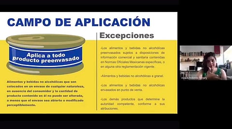 Se dictó el microtaller Normas de Etiquetado, a cargo de la maestra Aída Arredondo (Foto: Captura de video)