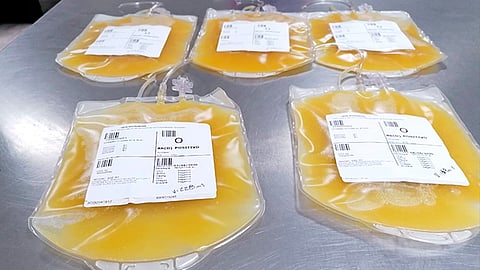 Requisitos: tener entre 18 a 65 años de edad, no tener contraindicaciones para donar sangre, mujeres con antecedentes de embarazos y acceso vascular periférico adecuado (Foto Cortesía) 
