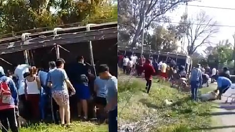 La policía no pudo contener a las personas que robaron los cerdos (FotoTwitter: @MeKawen10)