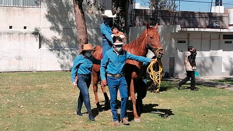 Este programa de la UMSNH ofrece las sesiones de equinoterapia más baratas 
(Foto: Aned Ayala)