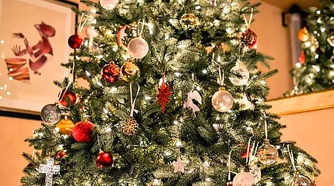 Productores locales de pinos, noches buenas y artesanos de esfera de Tlalpujahua estarán hasta el próximo 29 de noviembre en los jardines de la Cofom
 (Foto: Pixabay)
