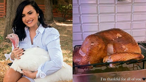 Usuarios de Internet se molestaron por la supuesta "incongruencia" de la cantante (Foto IG: @farmsanctuary/Demi Lovato)