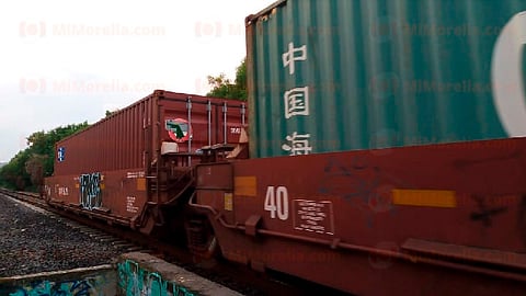 Cada tren equivale a 300 tráileres cargados (Foto: Fátima Mirada)