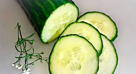 A nivel nacional el pepino se produce en 30 estados del país, siendo Sinaloa, Sonora, Baja California, Michoacán y Yucatán, los que lideran el cultivo (Foto Pixabay.com) 