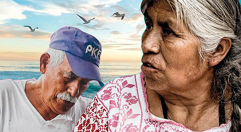 Coespo concluye el 2020 con dos publicaciones sobre adultos mayores y temas prioritarios para Michoacán (Foto Especial)  