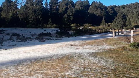 En santuario Sierra Chincua, proyectan instalación de una red de luz eléctrica