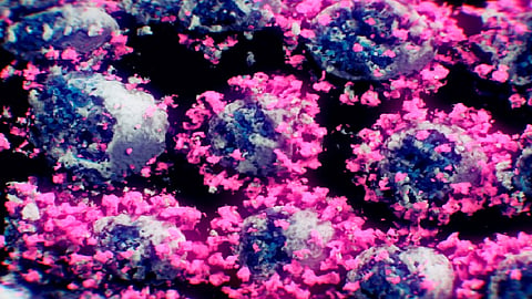 Los colores sólo se utilizaron para representar mejor la forma ya que al ser un virus más pequeño que la longitud de onda de la luz visible 
 (Foto: Nanographics)