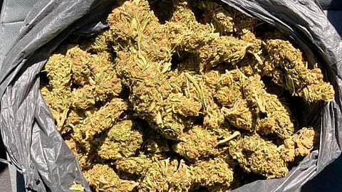 El hombre tenía una bolsa con hierba verde seca (Foto: cortesía)