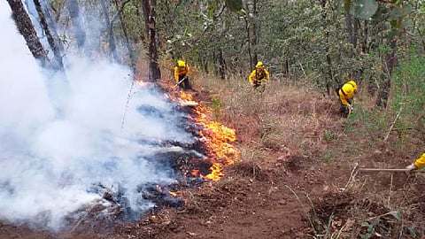 De enero a la fecha suman 31 incendios con impacto negativo en 190 hectáreas (Foto Facebook: Comisión Forestal del Estado de Michoacán)