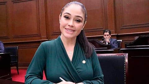 En promedio, cada hora se cometen cinco delitos vinculados a la violencia de género, dijo la diputada  (Foto: cortesía)