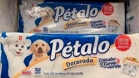 El osito reapareció en empaque de servilletas junto al cachorro Poppy (Foto: Twitetr/@CalebMX)