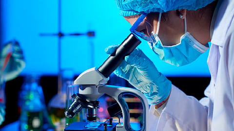 El estudio está respaldado por especialistas en matemáticas, biología y médicos (Foto: freepik.es)