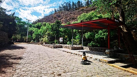 Se busca la reactivación del espacio público y la movilidad de personas de distintas edades (Foto: cortesía)