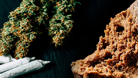 Varios diputados reconocieron la necesidad de terminar con la prohibición para uso lúdico de la marihuana (Foto: freepik.es)