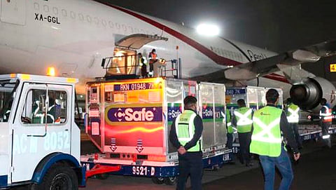 Esta semana llegarán 600 mil dosis de Pfizer-BioNTech, 500 mil de Sputnik V y un millón 200 mil de AstraZeneca (Foto Cortesía) 