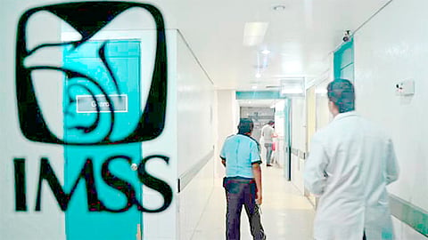 Con motivo del Día Mundial del Riñón, se informó que de enero a abril de 2020 se realizaron 905 trasplantes renales en el país (Foto Cortesía) 
