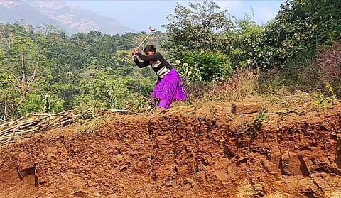 Parvati Baske cutting firewood for her kitchen [Photo- Vikram Raj]