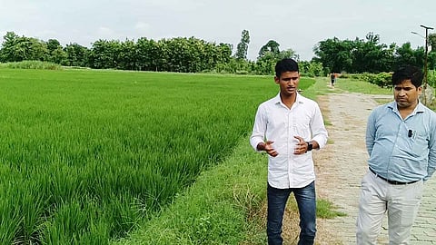 The government is continuously working towards enhancing farmers' crop production. 
 (represenational image)