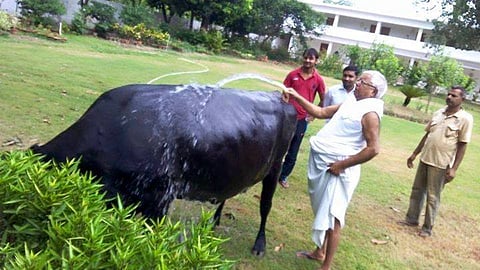जब लालू यादव ने बाबा साहेब और लोहिया को याद करते हुए लिखी थी दिल की बात / फोटो साभार - फ़ेसबुक 