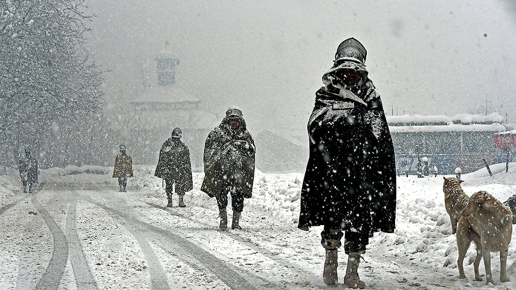 Photo by S Irfan/PTI