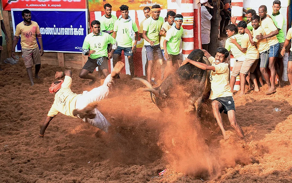 Who is the provocateur nudging the  bull factor in Tamil politics?
