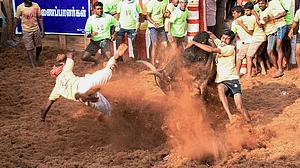 Who is the provocateur nudging the bull factor in Tamil politics?